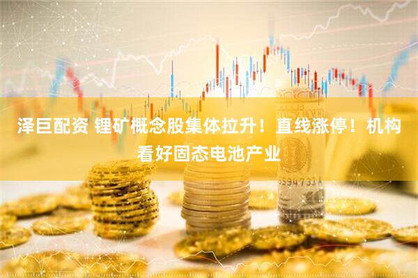 泽巨配资 锂矿概念股集体拉升！直线涨停！机构看好固态电池产业