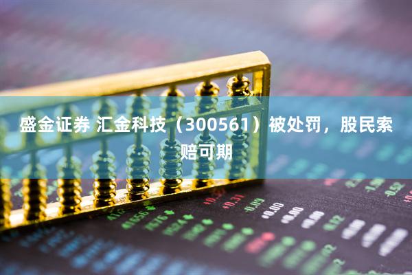 盛金证券 汇金科技（300561）被处罚，股民索赔可期