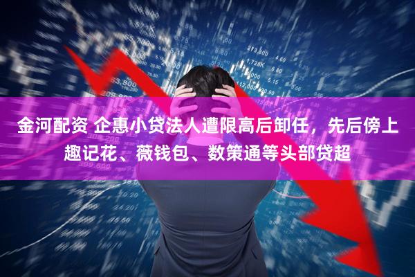 金河配资 企惠小贷法人遭限高后卸任，先后傍上趣记花、薇钱包、数策通等头部贷超
